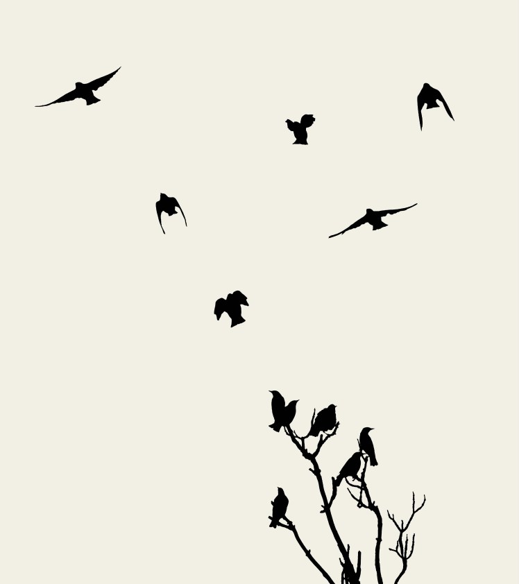 Quand la loi devient une cage : Réflexions sur la justice